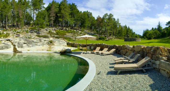 Domaine du Taillé Piscine